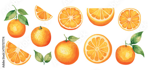 Fresh orange watercolor slices. Isolated oranges with green leaves. Natural organic fruits, healthy vitamins tropical food vector clipart