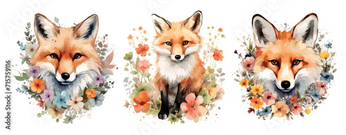 Red foxes in flowers, watercolor printable elements. Wild forest fox portraits, floral decorative compositions for prints. Vector isolated set