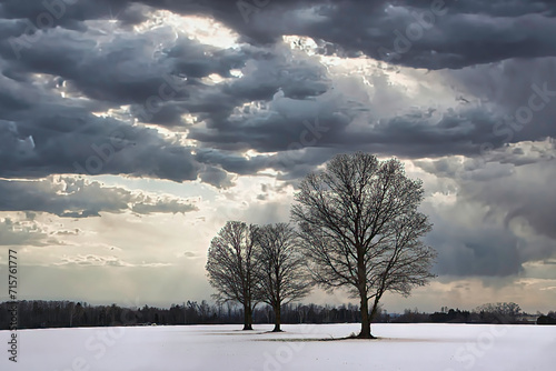 Trees on snow covered field against sky near Almonte, Ontario. photo
