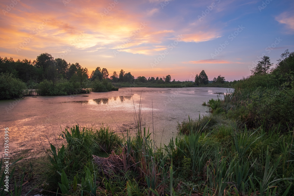 Obraz premium foggy sunrise over the river