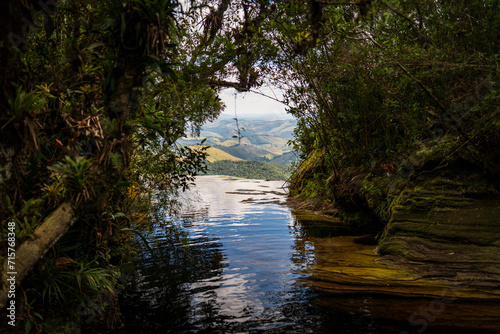 Serene River View from a Lush Forest Opening