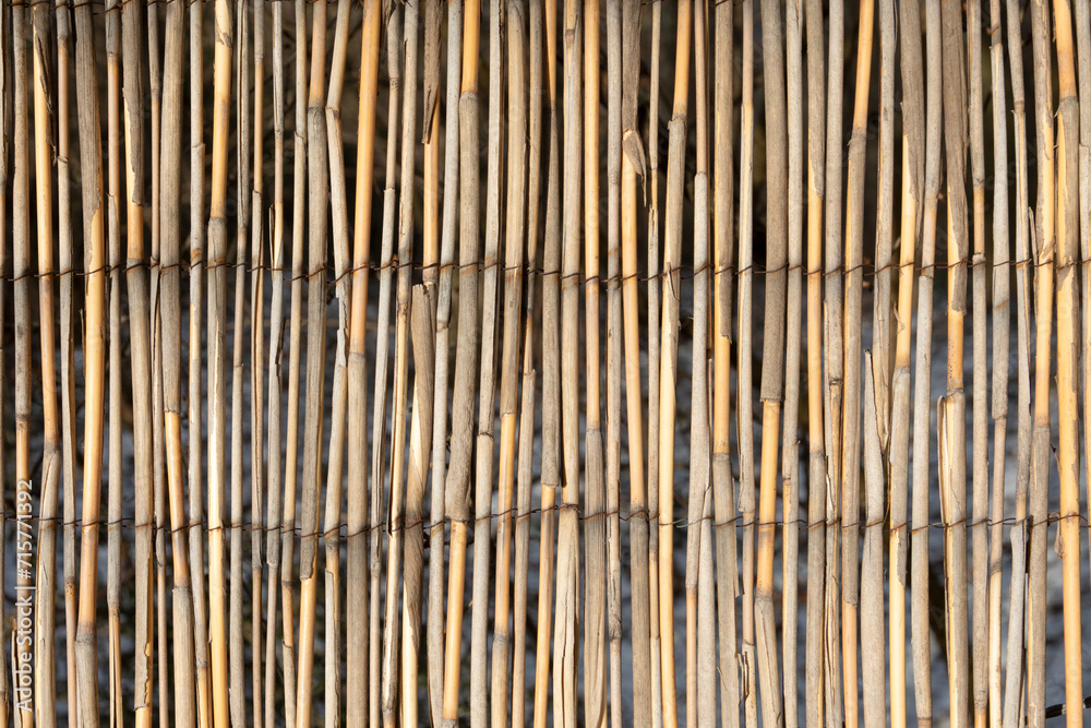 harmonic pattern of bamboo fence background harmonic pattern of bamboo fence background