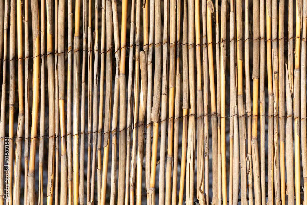 harmonic pattern of bamboo fence background harmonic pattern of bamboo fence background