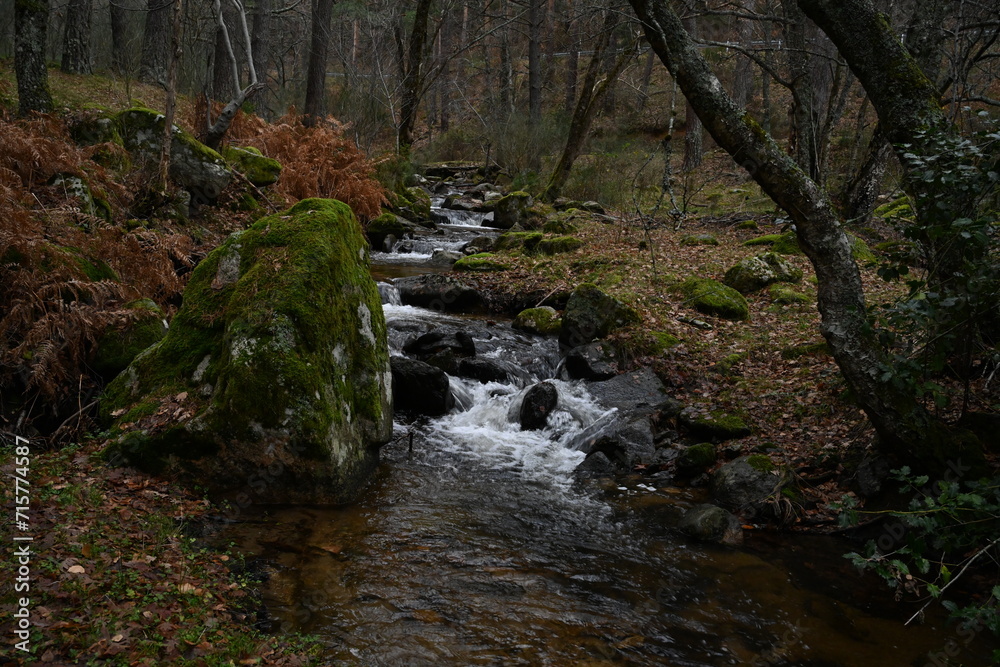 Arroyo del Sestil del Maillo , Canencia Arroyo del Sestil del Maillo , Canencia