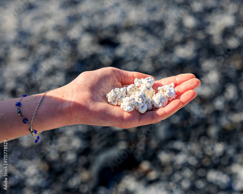 Popcorn shaped coral stones at famous Popcorn beach close to Corralejo, Fuerteventura