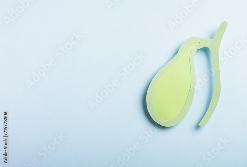 Gallbladder decorative paper model on pastel blue background. Gallbladder disease concept, cholecystitis or biliary dyskinesia. Top view, copy space