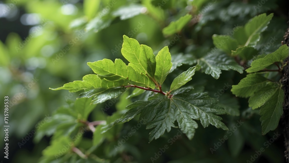 close up, micro view, a bunch of leave on the tree, 4k. generative AI close up, micro view, a bunch of leave on the tree, 4k. generative AI