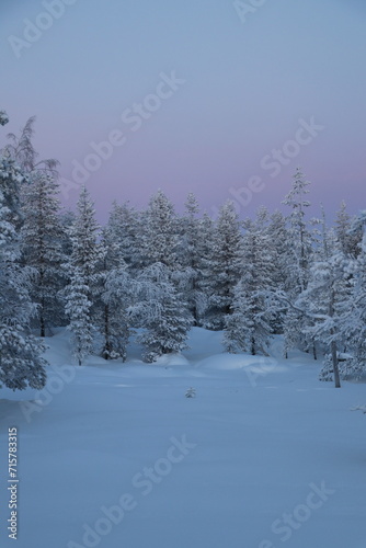 Couchée de soleil - Laponie finlandaise  © Manon