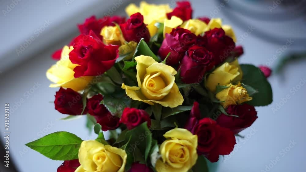 yellow and red roses flowers yellow and red roses flowers