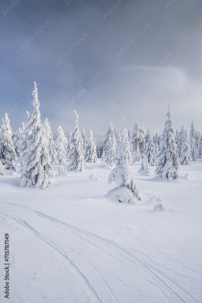 Obraz premium Winter landscapes in the Czech Jeseniky Mountains. Snow and ice created fairy-tale views. The mountains look beautiful this time of year.