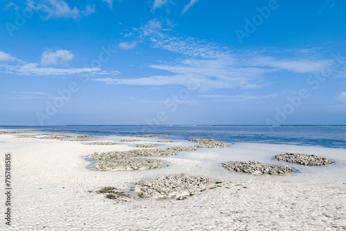 Mtende beach  Zanzibar island Unguja  Tanzania  East Africa