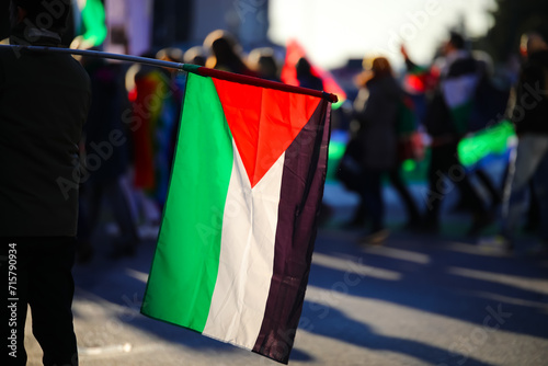 Palestinian flag waving during a peaceful protest demonstration with many people in the streets © ChiccoDodiFC