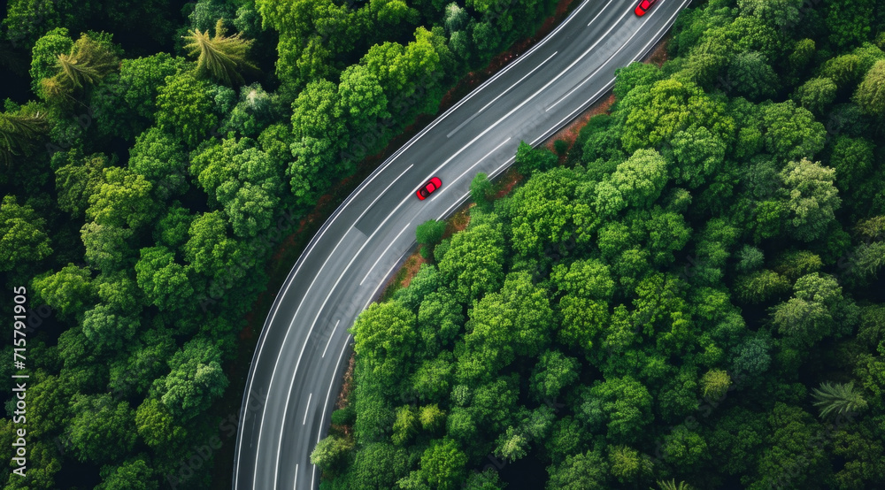 Highway, road and drone view of a path through the forest for vacation, adventure and transportation. Clean, green and jungle landscape for environment, sustainability and ecology background Highway, road and drone view of a path through the forest for vacation, adventure and transportation. Clean, green and jungle landscape for environment, sustainability and ecology background