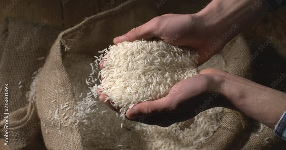 Super slow motion close up of farmer is controlling quality of handful dry basmati quality white rice over burlap sack background at 1000 fps.