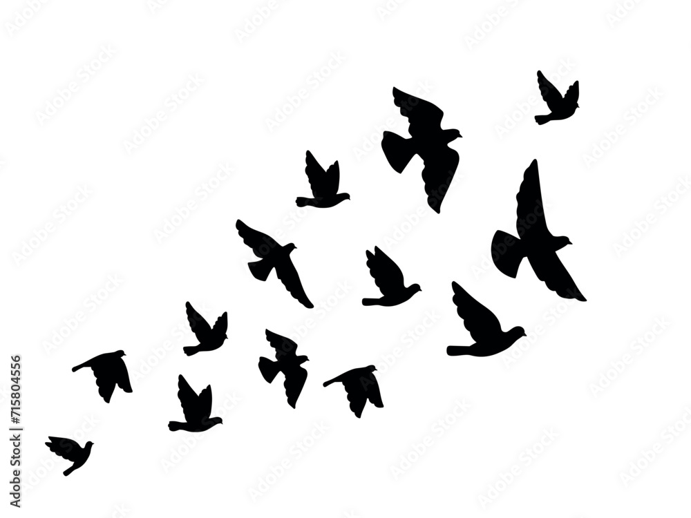 Black silhouettes of flying birds on a white background Black silhouettes of flying birds on a white background