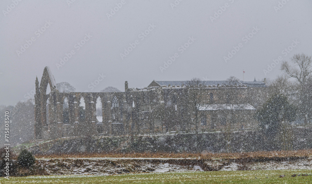 Skipton, North Yorkshire, 16th January 2024. Snow falls on Bolton Abbey in the Yorkshire Dales.