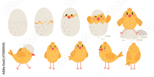 Stages of a little yellow chick hatching from an egg