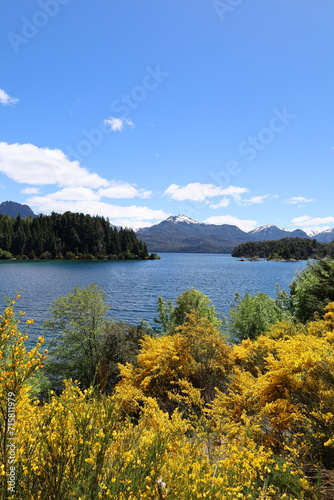 Lake, mountains and yellow flowers