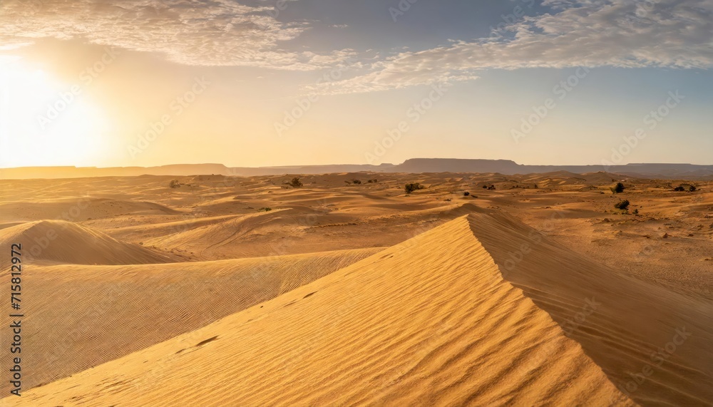 Hot desert sands . camel caravan desert landscape humans nature wallpaper travel adventure