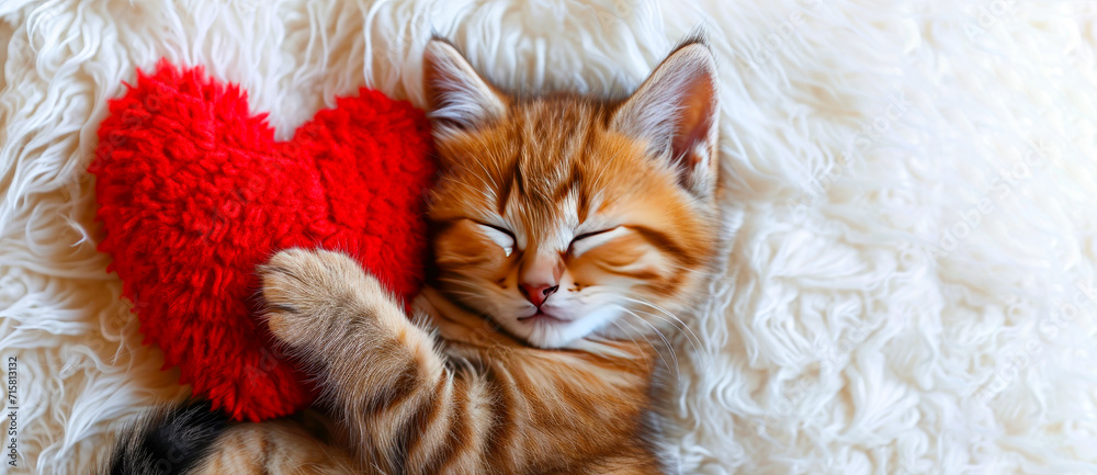 Cute Kitten sleeps on a soft red pillow in the shape of a heart. Love concept, Valentine's day. Place for text Cute Kitten sleeps on a soft red pillow in the shape of a heart. Love concept, Valentine's day. Place for text