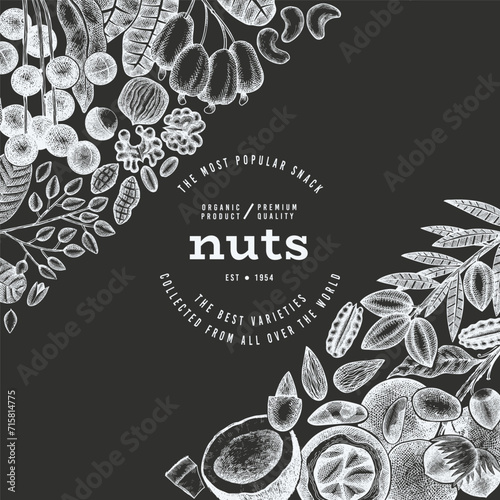 Hand Drawn Nuts Branch And Kernels  Template. Organic Seed Vector Design. Retro Chalk Board Nut Illustration. photo