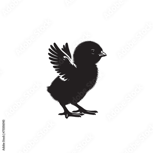 Chick, baby bird vector