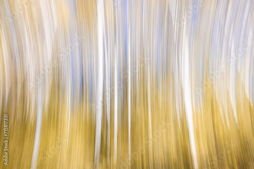 Intentional movement as a fall background