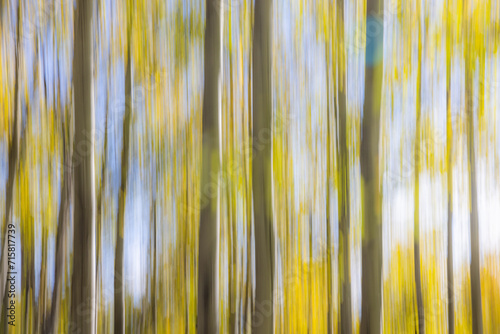 Intentional movement as a fall background