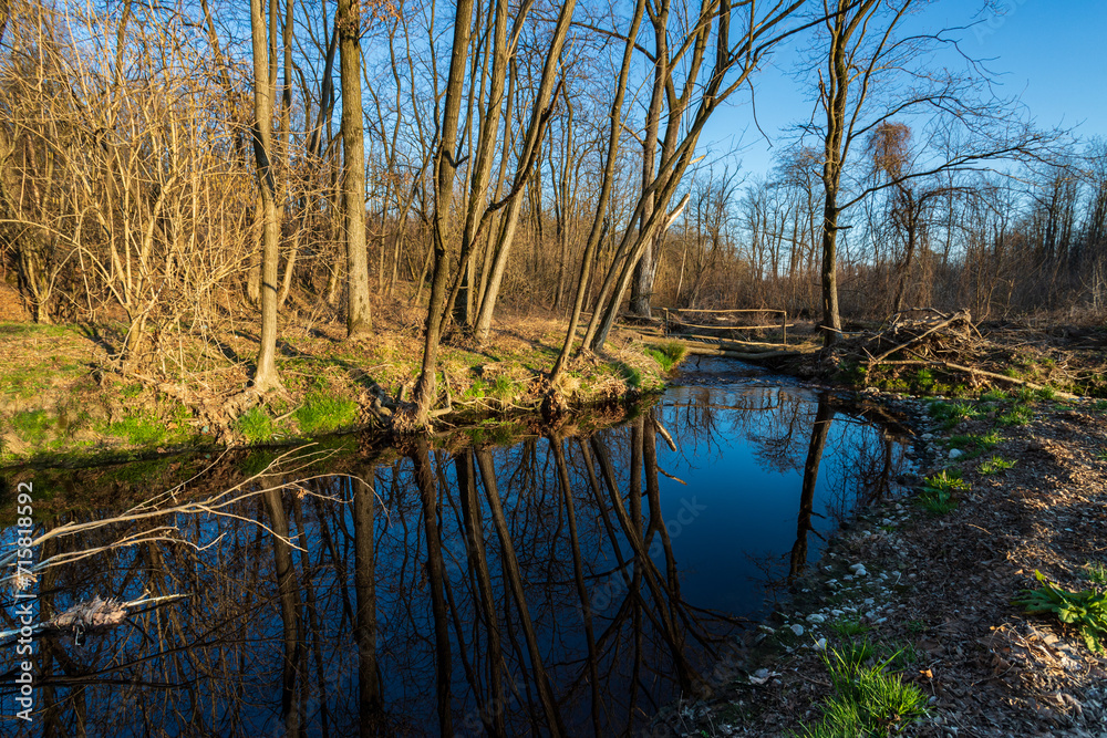 pozza d'acqua nel parco del Lura 