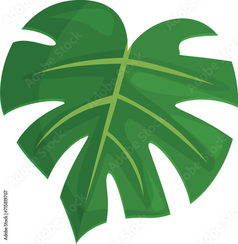 Green flora icon cartoon vector. Jungle plant. Flora unusual leaf