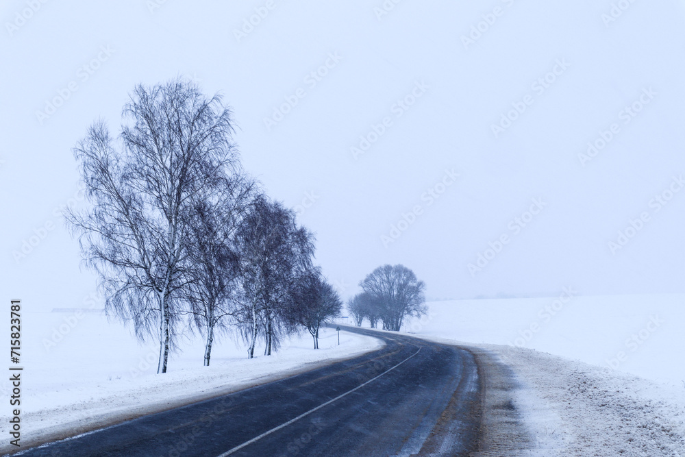 Winter landscape: lonely trees near the highway on a gray winter day