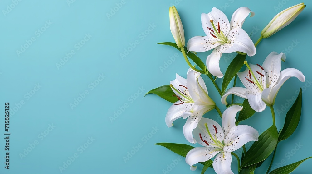 Top view of white lily flower on a blue backdrop with a big copy space for text or products, Generative AI.