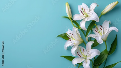 Top view of white lily flower on a blue backdrop with a big copy space for text or products, Generative AI. © Electro Unicorn