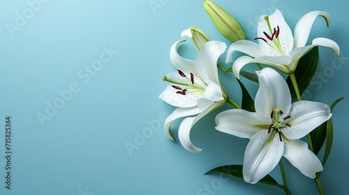 Top view of white lily flower on a blue backdrop with a big copy space for text or products, Generative AI.