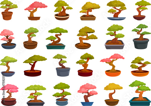 Bonsai tree icons set cartoon vector. Japan pot plant. Tin home decor