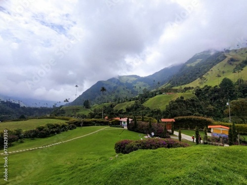 Fotografía Paisaje Valle del Cocora, Quindío. Colombia