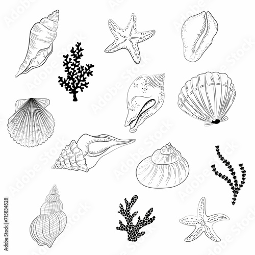 Black doodles on a white background. Suitable for decoration of various goods in marine style. Illustration in the style of line. Marine theme in drawings. Vector art.
