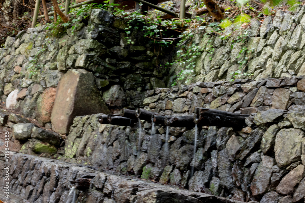 Obraz premium 2023-canarie-0963