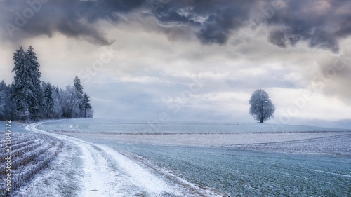 Winterlandschaft mit Schneebedeckten Feldern