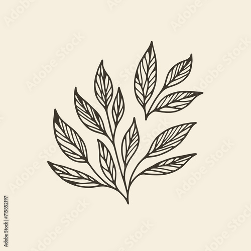 Vintage Minimalist Leaf Line Drawing Logo Design Art Illustration © Nouzen