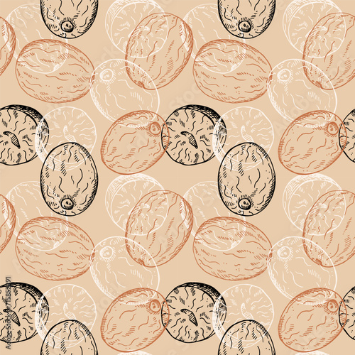 Nutmeg sketch seamless pattern engraved hand drawn vector illustration repeating background with nuts. Backdrop Mace plant, spicy nut design rapport for cooking, medicine, perfumery for textile, print