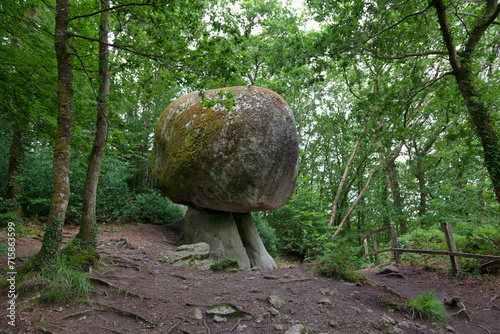 The mushroom in the forest of Huelgoat photo