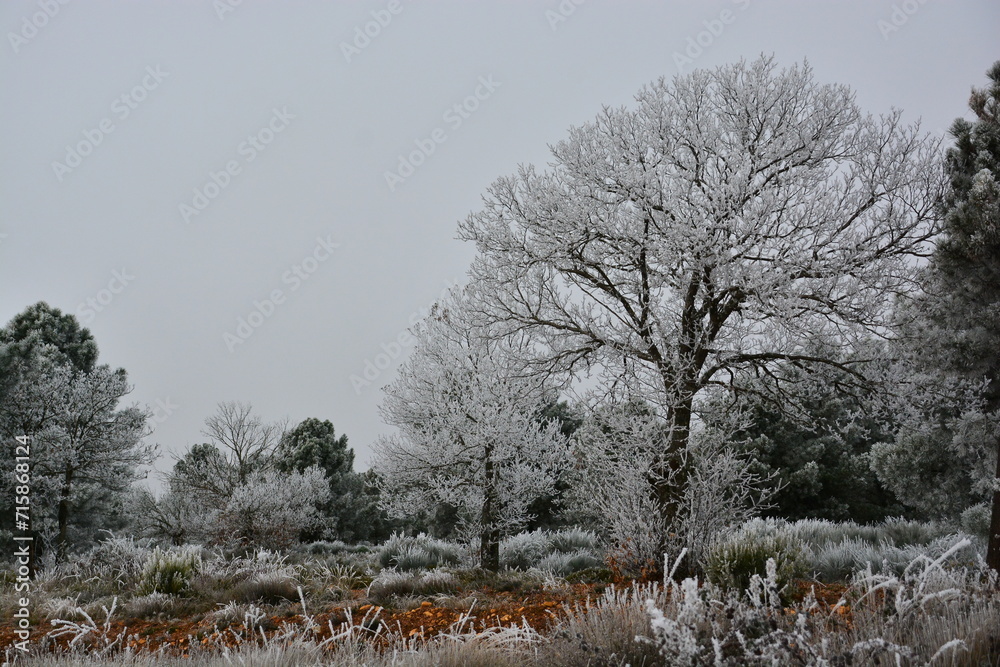 custom made wallpaper toronto digitalAstorga