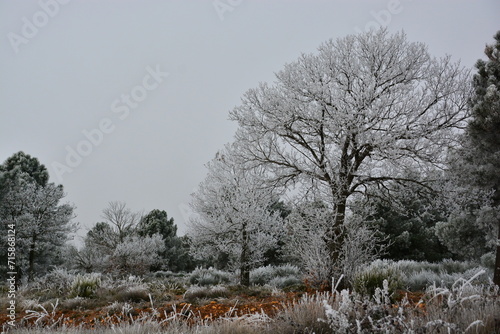 Wallpaper Mural Astorga  Torontodigital.ca