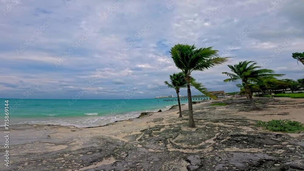 Vista del mar caribe en color turquesa sobre una playa de rocas y palmeras, viento soplando con fuerza
