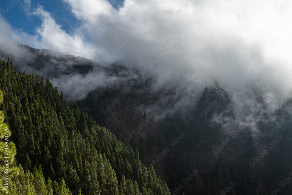 Aerial view of light shining through low clouds on mountains covered in forests