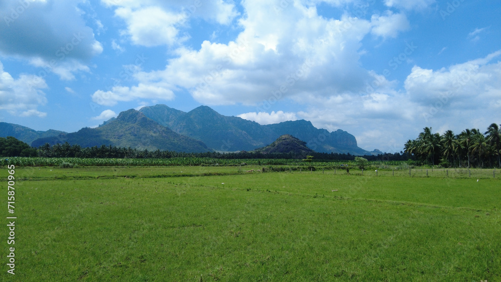 Rice farming in Tamil Nadu, agricultural lands and western ghats mountain range 