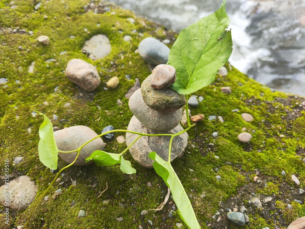 Naklejka premium Naturaleza y Rocas