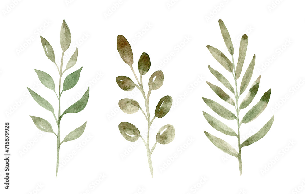 Watercolor green branches set illustration isolated on white Watercolor green branches set illustration isolated on white
