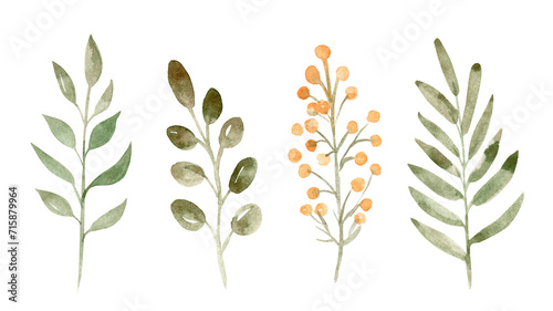 Watercolor green branches set illustration isolated on white